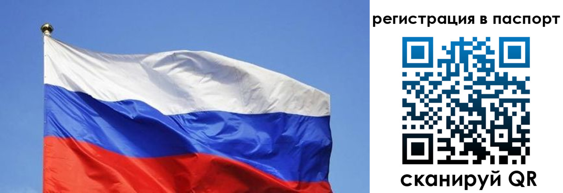 прописка в квартире в Выборге